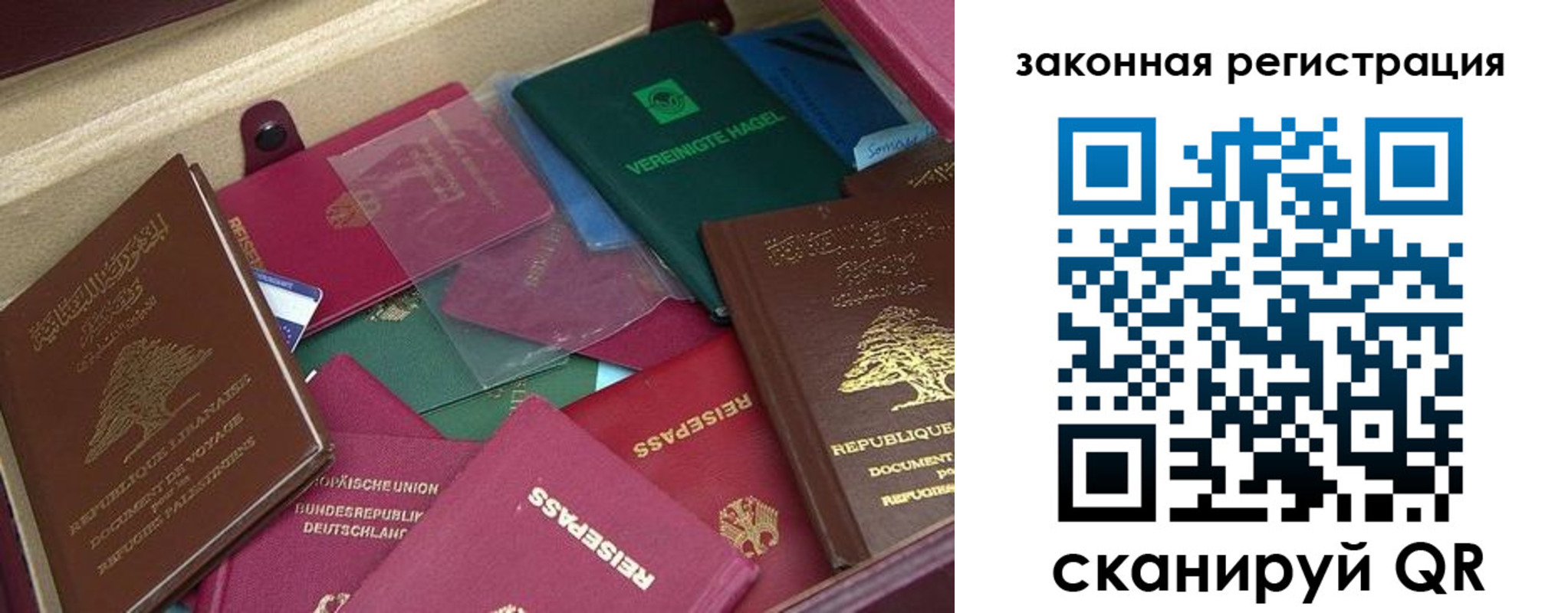 купить прописку в Чкаловске